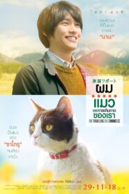 The Traveling Cat Chronicles ผม แมว และการเดินทางของเรา