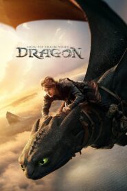 How to Train Your Dragon 1 (2010) อภินิหารไวกิ้งพิชิตมังกร